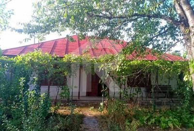 Exclusivitate_Lipia (Gruiu IF)- Casuta Bunicii - 1