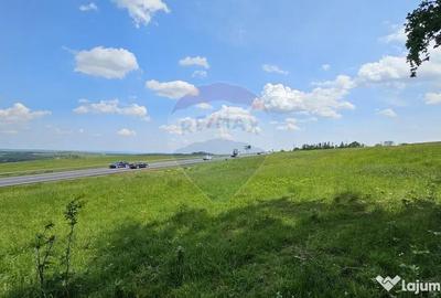 Teren de 7000 mp, în Ilișești - 6