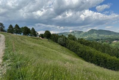 Teren inconjurat de natura de vanzare in Pestera - 3