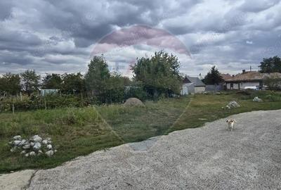 Teren 500 mp in sat Holt, comuna Letea Veche Teren 500 mp in sat Holt, comuna Letea Veche - 1