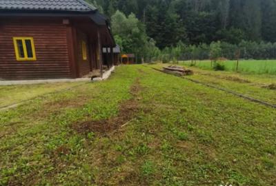 Casă cu 5 camere cu Teren 1250 Mp în Marginea - 1