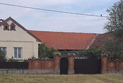 Casa de vanzare sat Babsa - 7