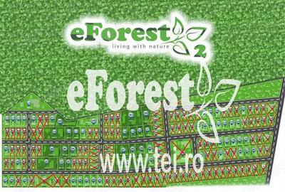 EForest teren rezidential in zona de padure, deschidere spre padure - 3