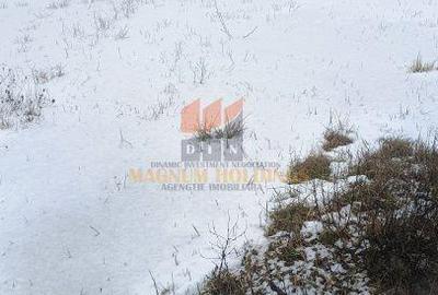 Teren de 3500 mp, în Bradu - 1