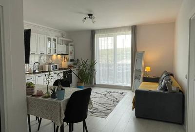 Apartament cu 2 camere semidecomandat, mobilat în Chinteni - 1