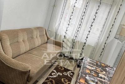 Apartament 1 camera, 32 mp, etaj 1, petfriendly, Sagului - 1