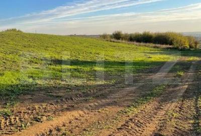 Teren de 830 mp, în Gării - 3