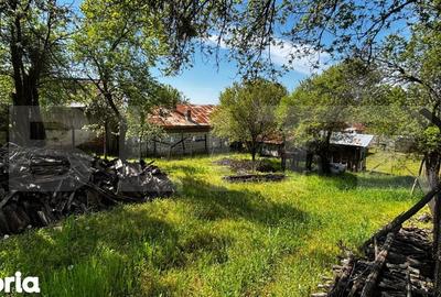 Casă cu 3 camere cu Teren 4200 Mp în Melinești - 8