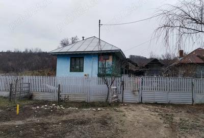 Casă cu 3 camere în Dobrețu - 3