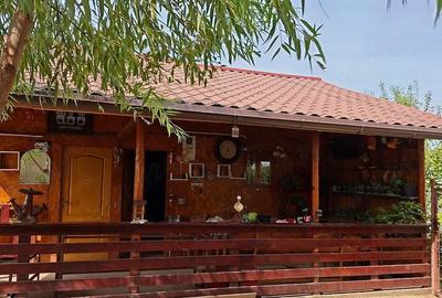 Casă cu 2 camere cu Teren 1000 Mp în Central - 6
