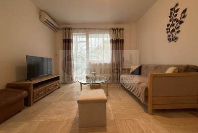 Apartament cu 2 camere semidecomandat, mobilat în Podu Roș - 16