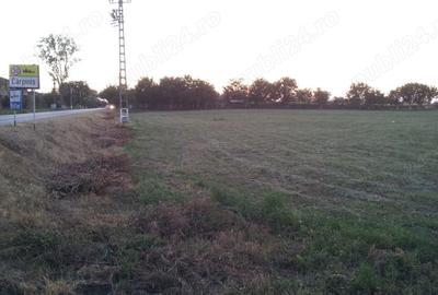 Teren de 8400 mp, în Cărpiniș - 5