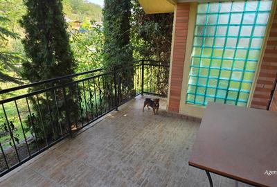 Casa caramida in Costesti - 5