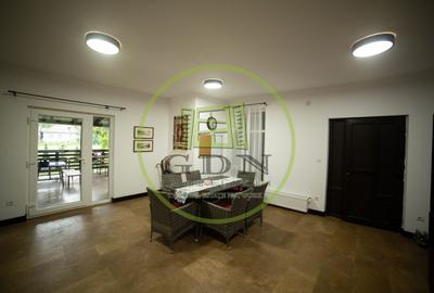 Casă individuală cu 7 camere cu Teren 3515 Mp în Bistra Mureșului - 12