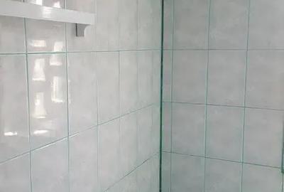 Apartament cu 2 camere decomandat în Iosefin