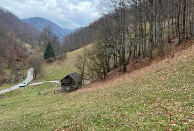 Teren de 12800 mp, în Remeți - 2