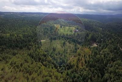 Teren extravilan parcelabil Calatele Padure, zona Dealu Negru - 12