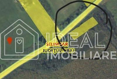 Spațiu comercial, în Șelimbăr - 2