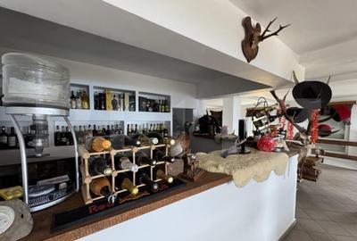 Proprietate turistica in Varful Roman Horezu, vedere - 3