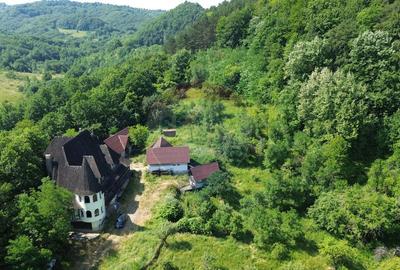 DE VANZARE CASTEL IN MARAMURES - 12