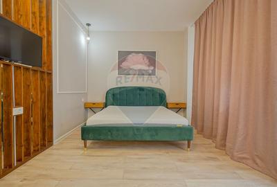 Apartament cu 1 camere semidecomandat, mobilat în Drumul Poienii - 9