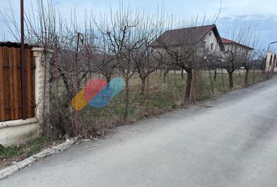 Teren Construcții intravilan de 780 mp, în Borhanci - 4