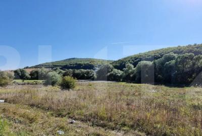 Teren de 1850 mp, în Feleacu - 1