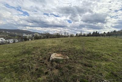 Teren de 980 mp, în Central - 5