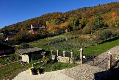 Casă individuală cu 5 camere cu Teren 2700 Mp în Alexandru cel Bun - 19