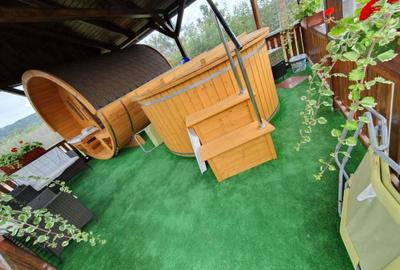 Casă cu 2 camere în Pericei - 6