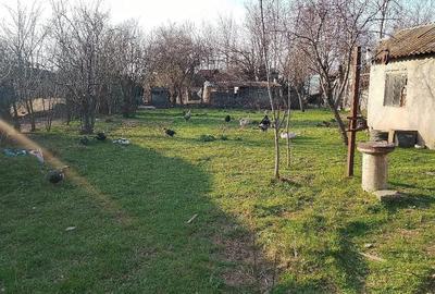 Casă cu 4 camere cu Teren 800 Mp în Aprozi - 4