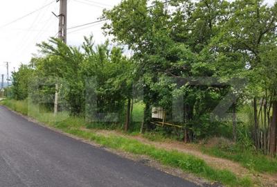 Casa individuala cu crama, teren 6700mp, Plopu Casa individuala cu crama, teren 6700mp, Plopu - 7