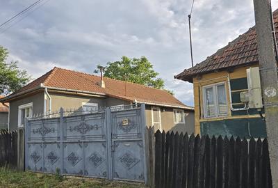 Casa de vanzare in Tasad Dragesti - 1