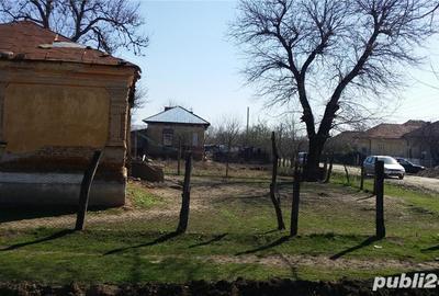 Teren de 2600 mp, în Giurgița - 7