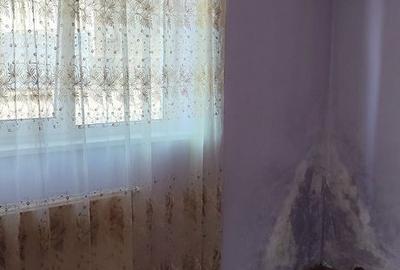 Casă cu 3 camere cu Teren 100 Mp în Central - 11