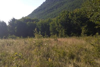 Roscani-Dobra-Teren Cabana-10km A1-Posibilitate Rate Roscani-Dobra-Teren Cabana-10km A1-Posibilitate Rate - 5