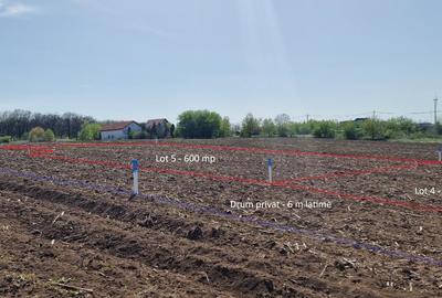 Snagov, Vladiceasca, Intravilan, zona de vile noi - 9