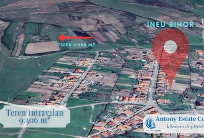 Teren de 9306 mp, în Ineu - 1