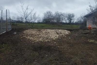 Casă cu 2 camere cu Teren 2500 Mp în Dumbrăveni - 2