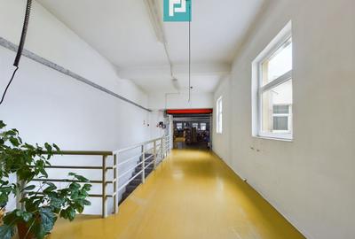 Spațiu industrial, de 6,879 mp, în Sânleani - 8