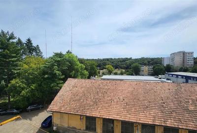 Apartament 1 camera, Mureseni, Gh. Doja, zona Profi - 4