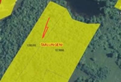 Teren extravilan6300mp langa lac - 1