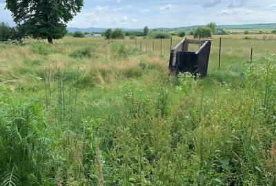 Casă cu Teren 11 Mp în Central - 3