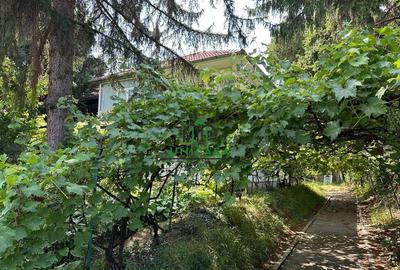 Casa si teren - Zona Ultracentrala - 2