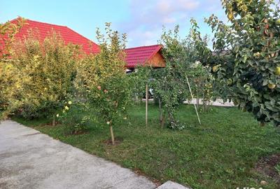 Casă cu 6 camere cu Teren 1997 Mp în Homocea - 2