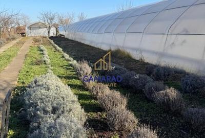 Teren intravilan vanzare - 2.750 mp – Darvari/Tamadalu Mare (judetul Calarasi) - 1