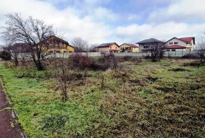 Buftea-Independentei - 5