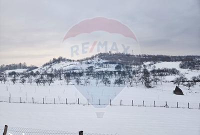 Teren de 4301 mp, în Bârsana