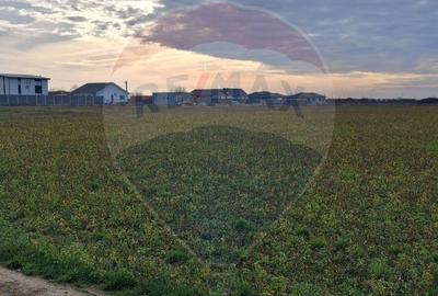 Spațiu comercial, în Sântion