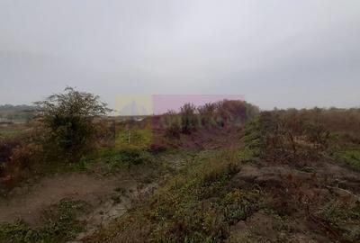 Teren agricol extravilan de 5000 mp, în Corbeanca - 9